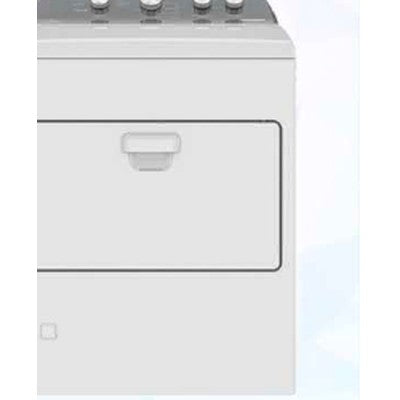 SECADORA A GAS 21KG PERILLA