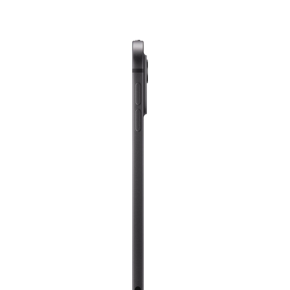 IPad Pro 11 (5ta Gen) Chip M4 1TB– 256GB