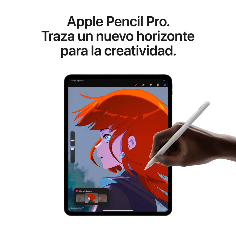 IPad Pro 13 (7ma Gen) Chip M4 – 256GB  -1TB